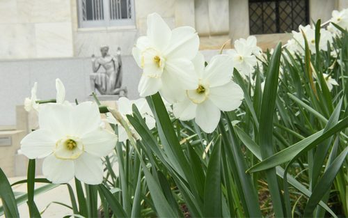 Spring Shakespeare Shakespeare quotes | Folger Shakespeare Library