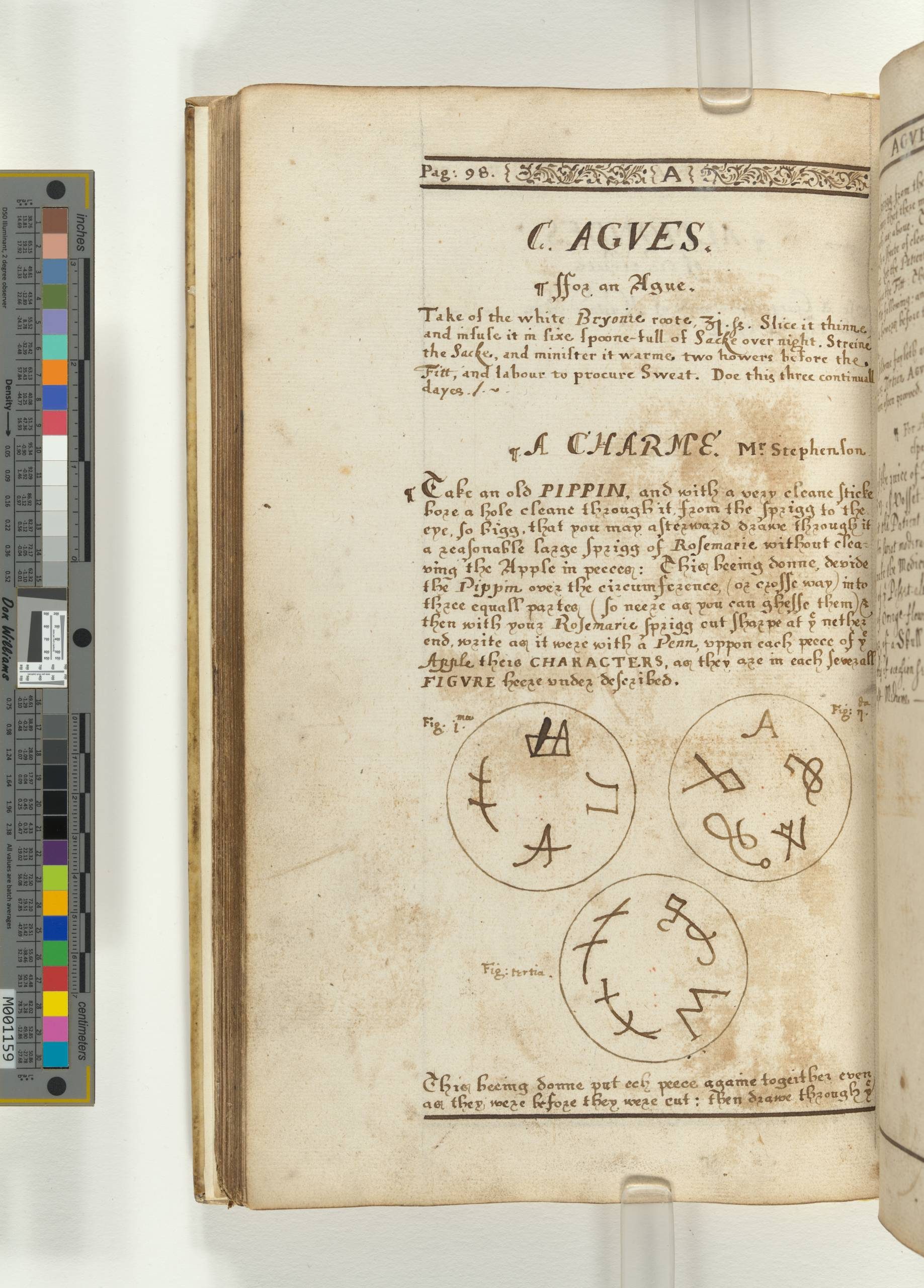 A page of a book with several paragraphs of handwritten text with three circular diagrams filling the bottom of the page.