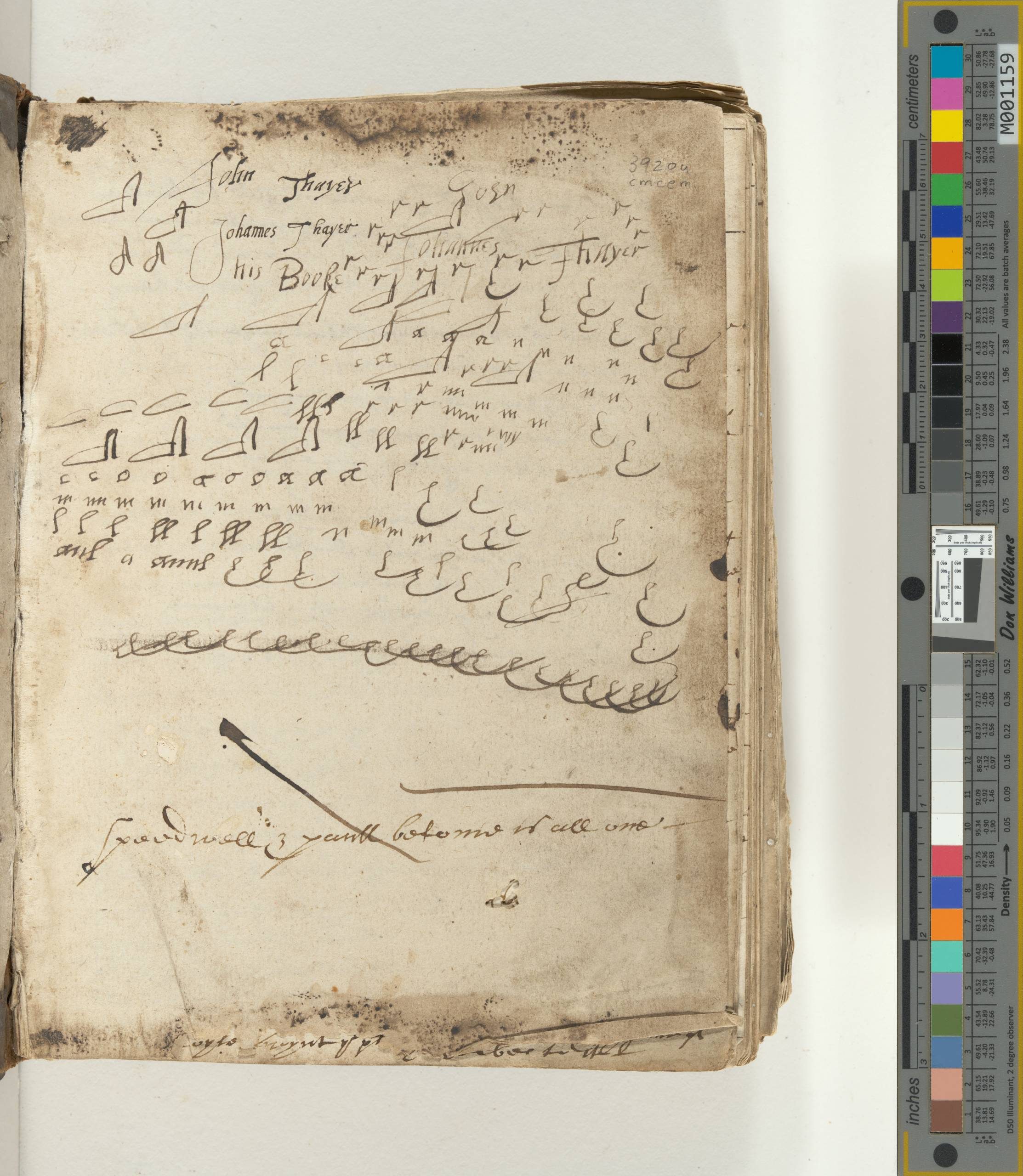 A page showing a series of quill marks.