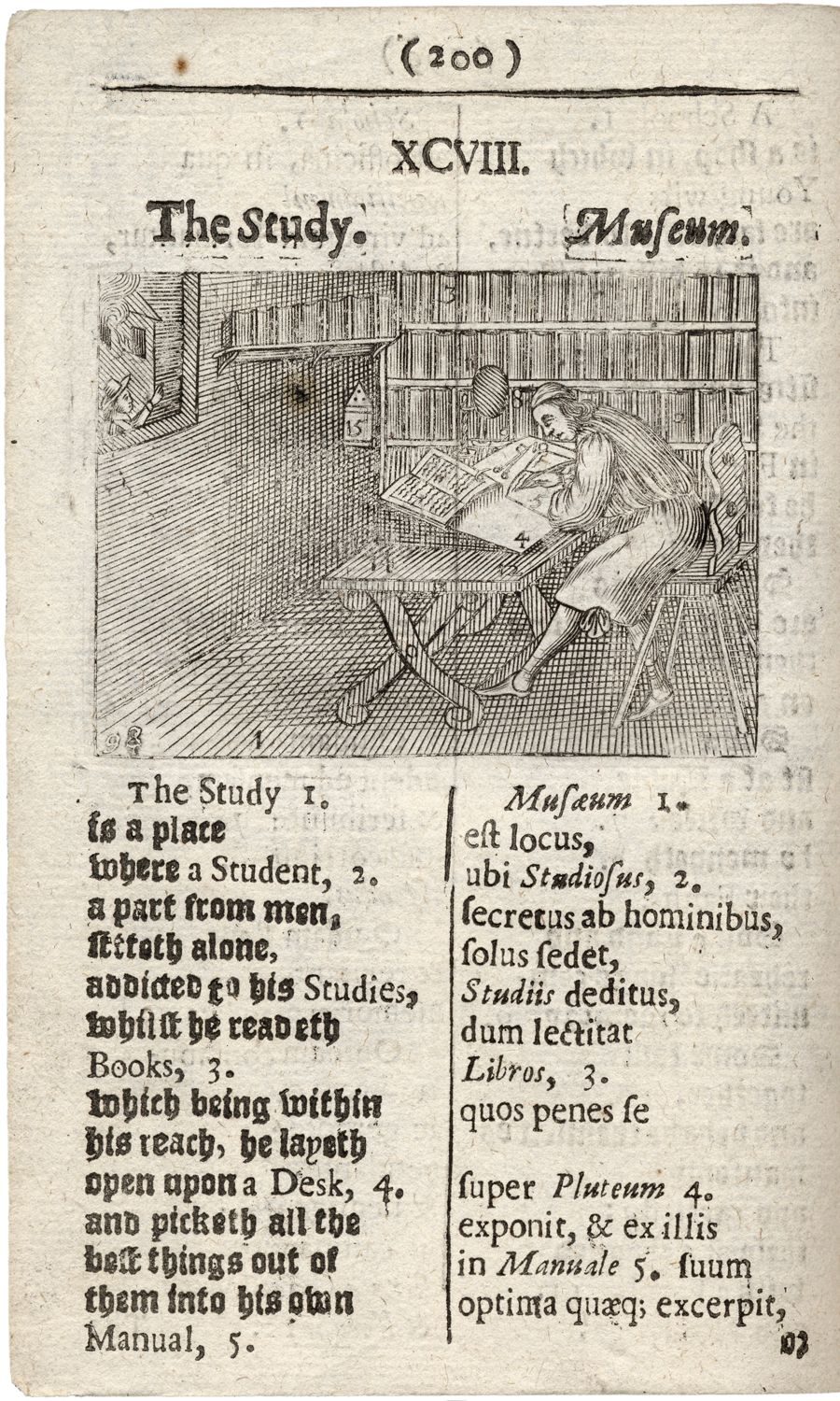 a scholar in his study