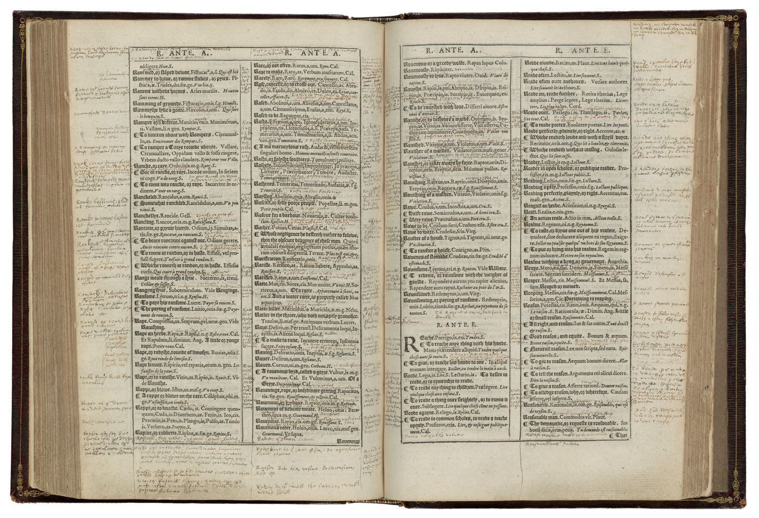 annotated dictionary page