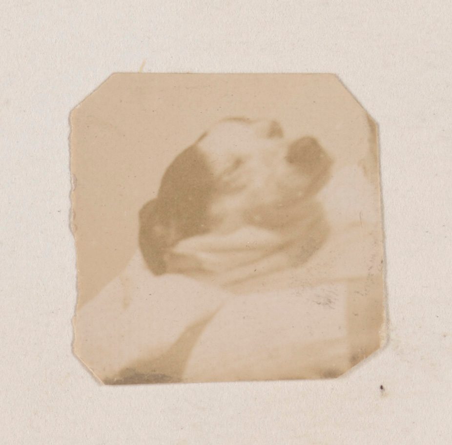 A faded out-of-focus photograph of an arm cradling a dog with dark ears. The dog appears wrapped in a scarf or blanket and its eyes are closed in what looks like happiness.