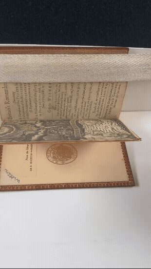 A gif showing a hand pressing lightly down on a the page of an open book. When the hand is removed, the page springs back.